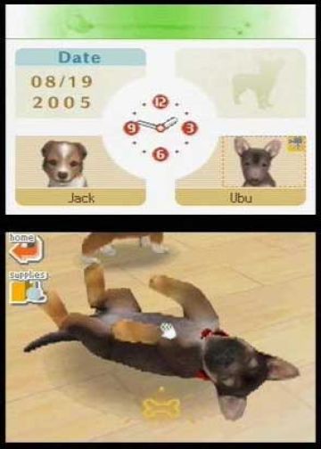 Immagine -15 del gioco Nintendogs: Labrador and Friends per Nintendo DS